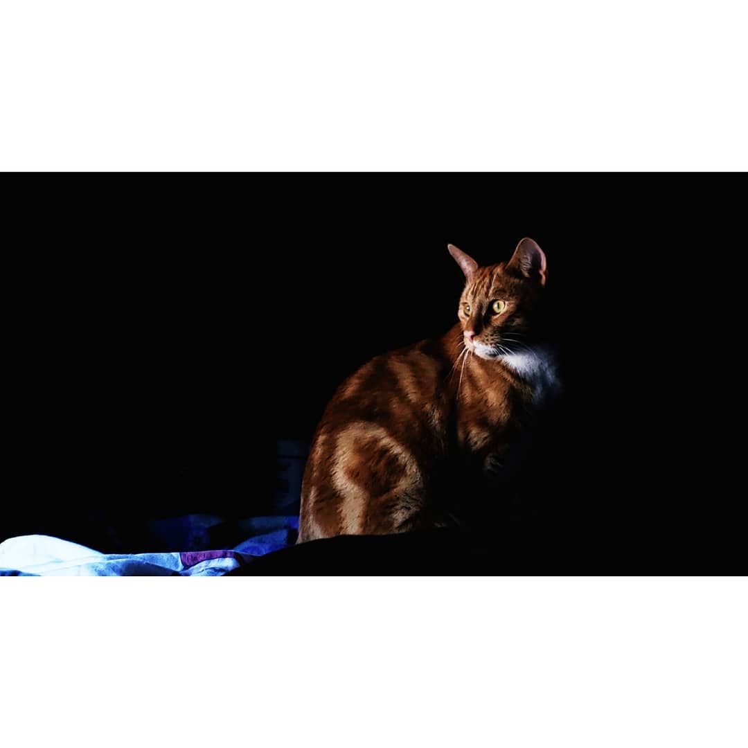 Planning for the Unplannable