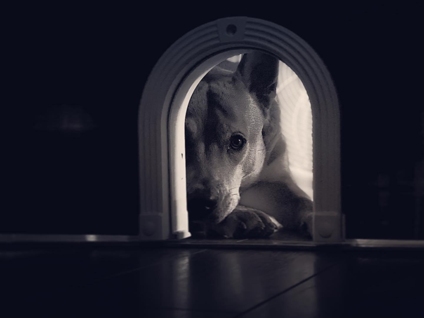 The Art of Budgeting without Crying